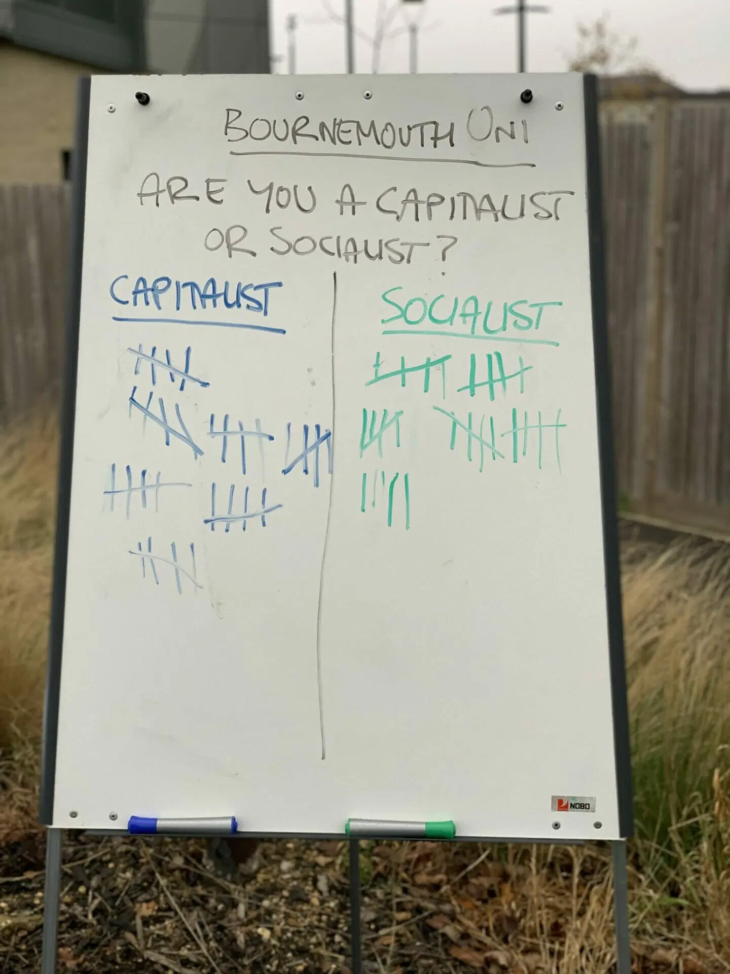 Whiteboard street poll comparing capitalism and socialism at a Turning Point UK event.
